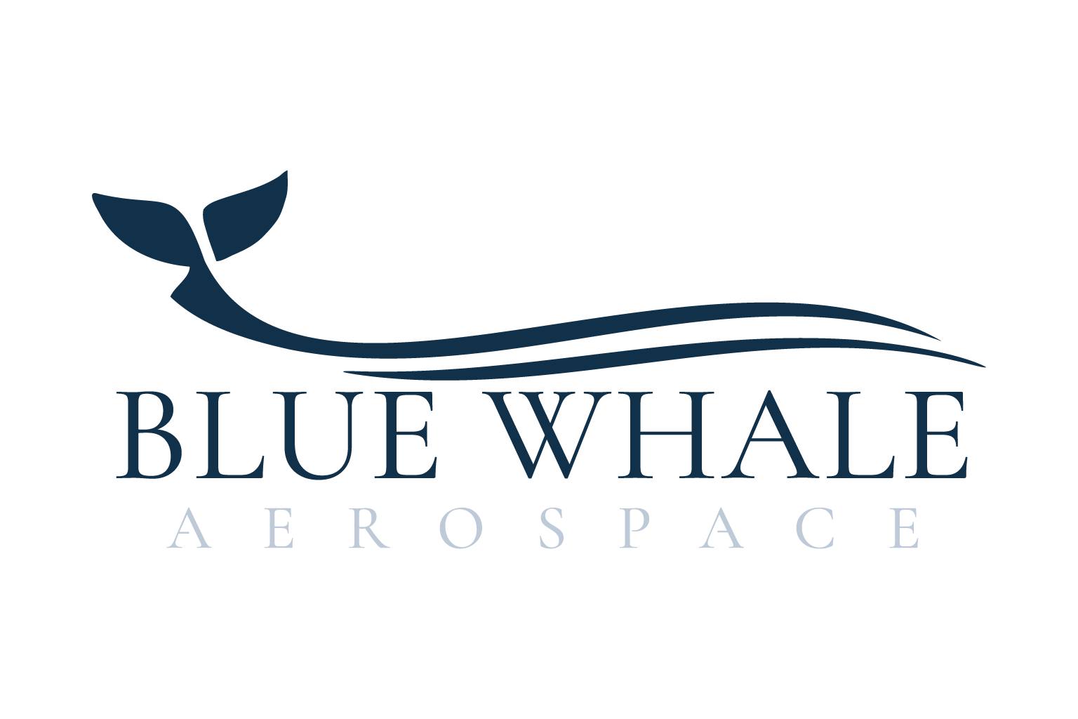 Blue Whale Aerospace